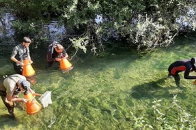 En bref : Journée mondiale des zones humides au parc national de forêts